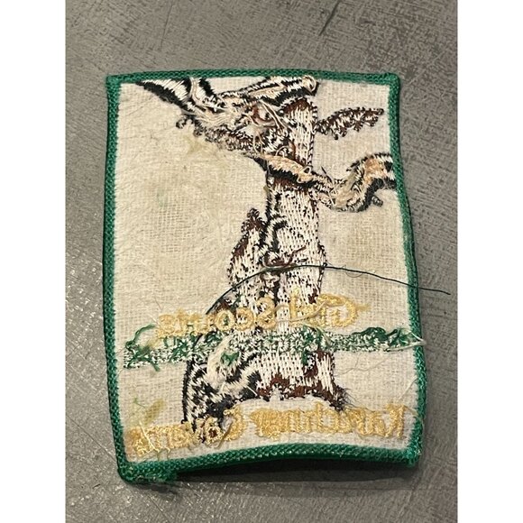 Girl Scouts Iron-On Patch Arizona Cactus Pine Council Kartchner Caverns - Picture 2 of 6